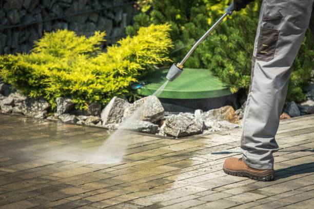 Best Dumpster Area Cleaning  in Josephine, TX